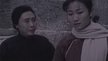 山菊花