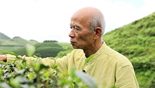 此心安处是吾乡