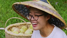 希望的田野