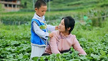 苗家飘香