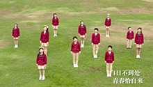 学员MV：《苔》