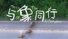 与象同行