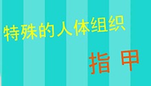 特殊的人体组织——指甲