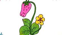 草莓