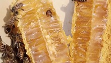 临澧县：太浮山下的甜蜜生活