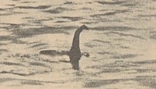 尼斯湖水怪之谜